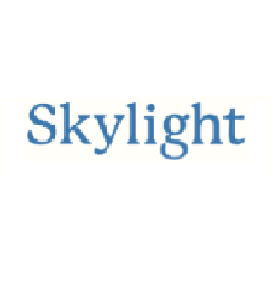 logo skylight marcos digitales